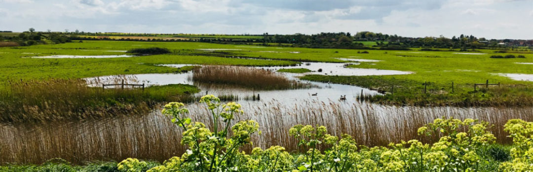Nature always wears the colours of the spirit – Ralph Waldo Emerson MarGins Walking and Glamping Holidays