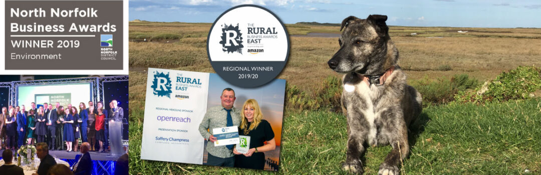 awards Award Winners